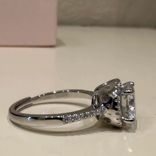 Rosemary Round Halo Moissanite Ring with Half Pave Band (Side Flat Lay) Rosemary Round Halo Moissanite Ring with Half Pave Band (Side Flat Lay)